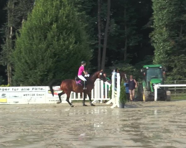 Reitturnier Melle-Ostenfelde 2015