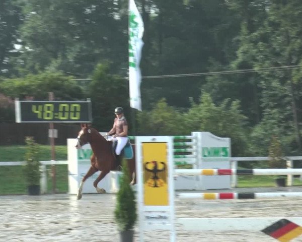 Reitturnier Melle-Ostenfelde 2015