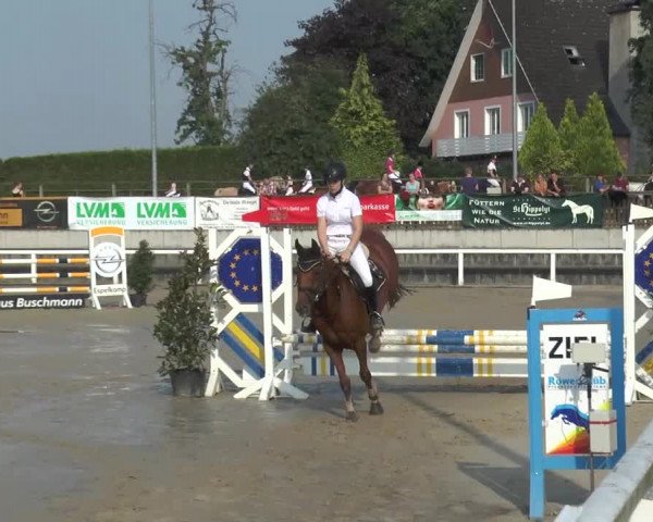 Reitturnier Melle-Ostenfelde 2015