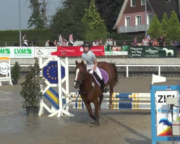 Reitturnier Melle-Ostenfelde 2015