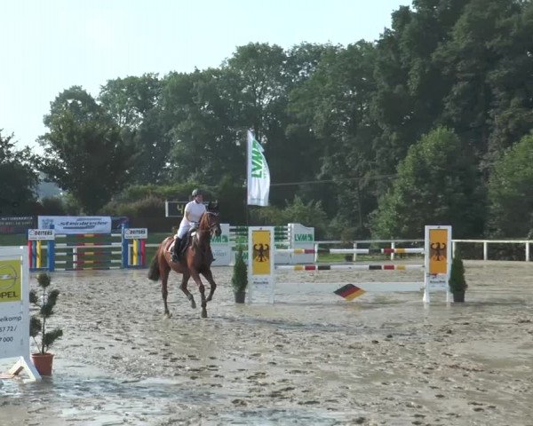 Reitturnier Melle-Ostenfelde 2015
