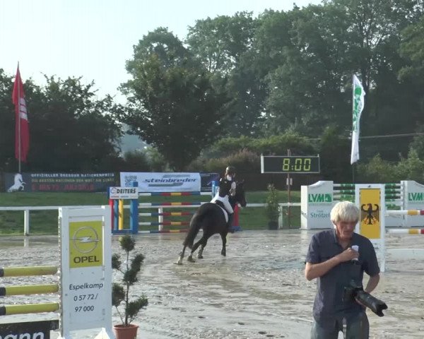 Reitturnier Melle-Ostenfelde 2015