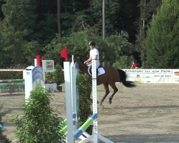 Reitturnier Melle-Ostenfelde 2015