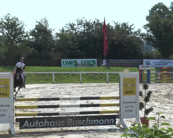Reitturnier Melle-Ostenfelde 2015