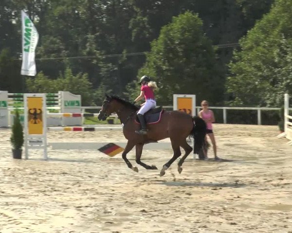 Reitturnier Melle-Ostenfelde 2015