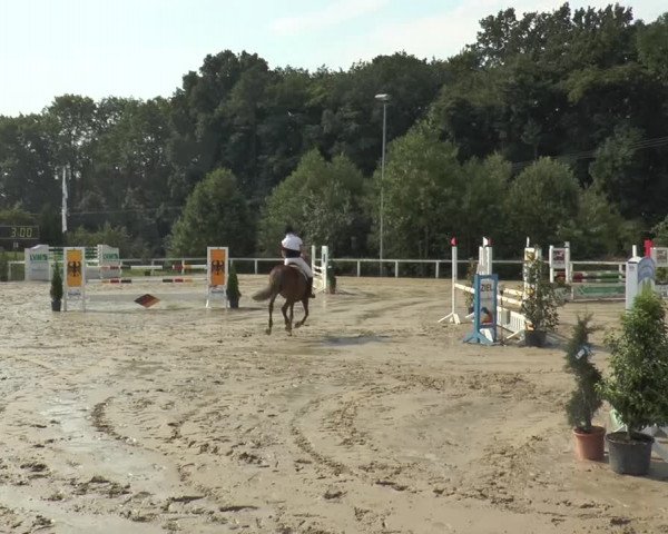Reitturnier Melle-Ostenfelde 2015