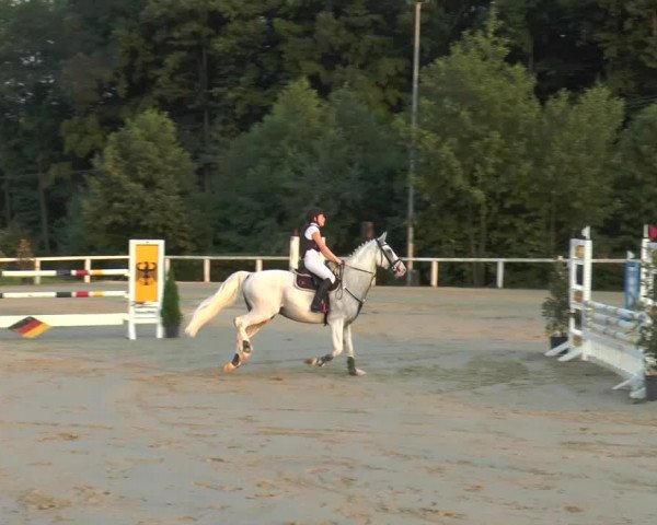 Reitturnier Melle-Ostenfelde 2015