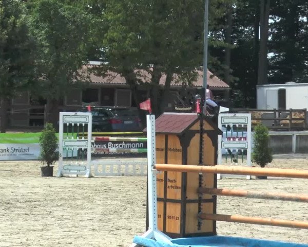 Reitturnier Melle-Ostenfelde 2015