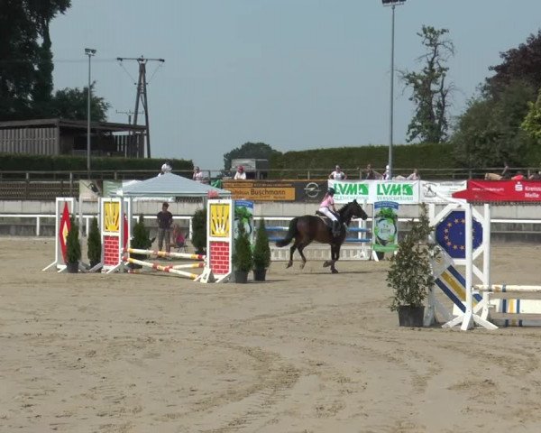 Reitturnier Melle-Ostenfelde 2015