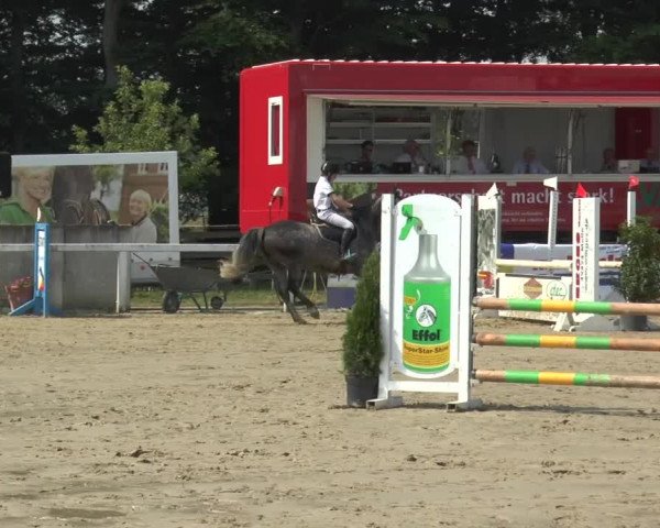 Reitturnier Melle-Ostenfelde 2015