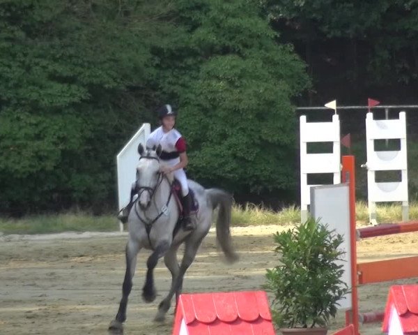 Reitturnier Viersen-Dülken 2015