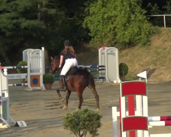 Reitturnier Viersen-Dülken 2015