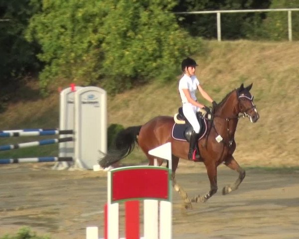 Reitturnier Viersen-Dülken 2015