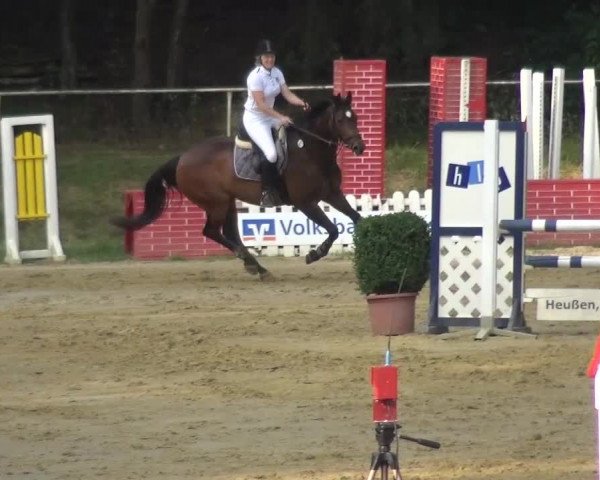 Reitturnier Viersen-Dülken 2015