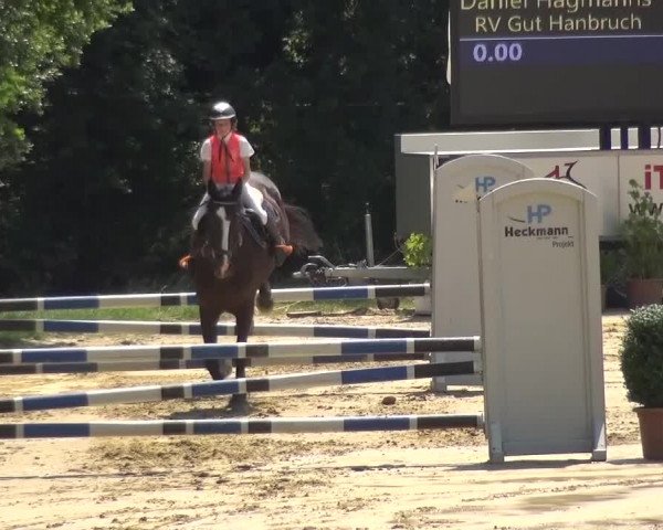 Reitturnier Viersen-Dülken 2015