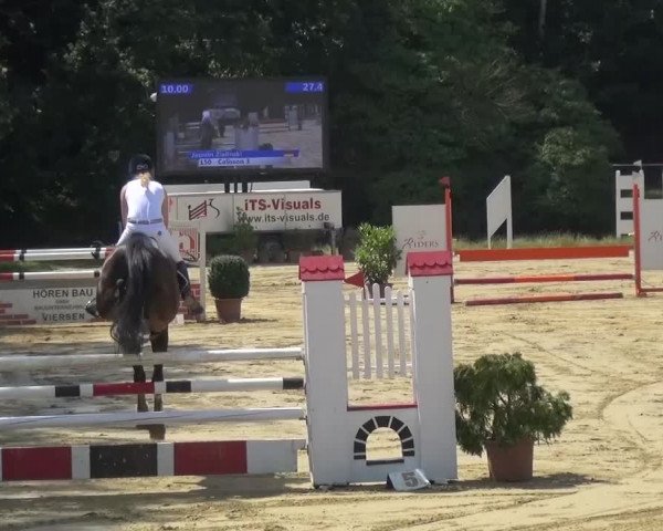Reitturnier Viersen-Dülken 2015