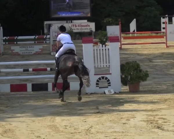 Reitturnier Viersen-Dülken 2015