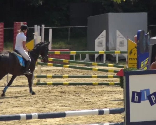 Reitturnier Viersen-Dülken 2015