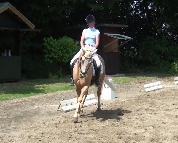 Reitturnier Viersen-Dülken 2015