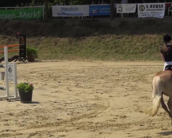 Reitturnier Viersen-Dülken 2015