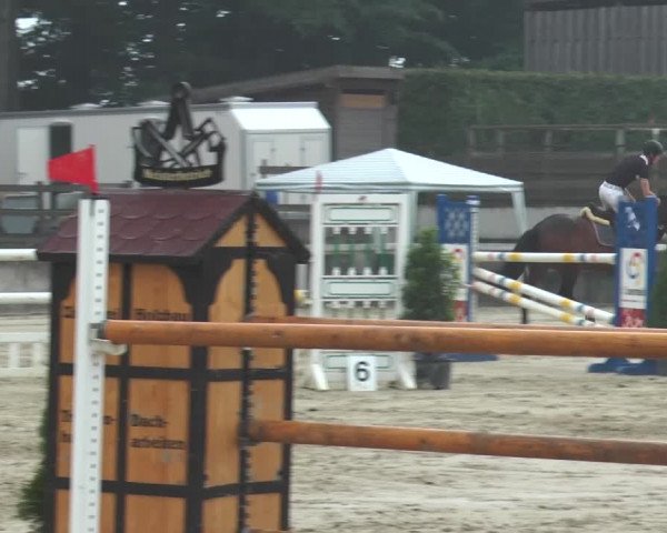 Reitturnier Melle-Ostenfelde 2015