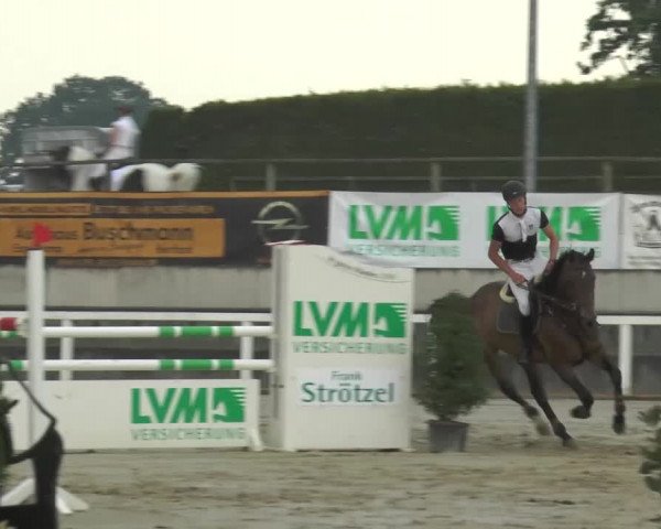 Reitturnier Melle-Ostenfelde 2015