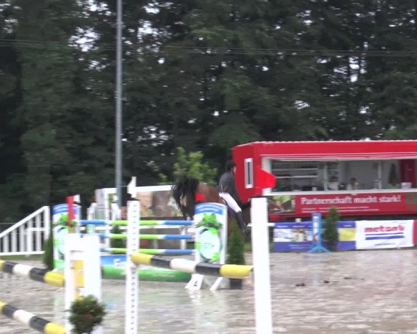 Reitturnier Melle-Ostenfelde 2015