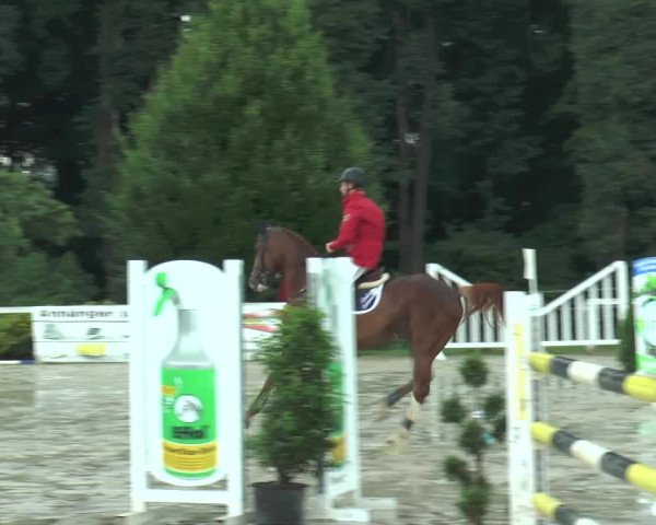 Reitturnier Melle-Ostenfelde 2015