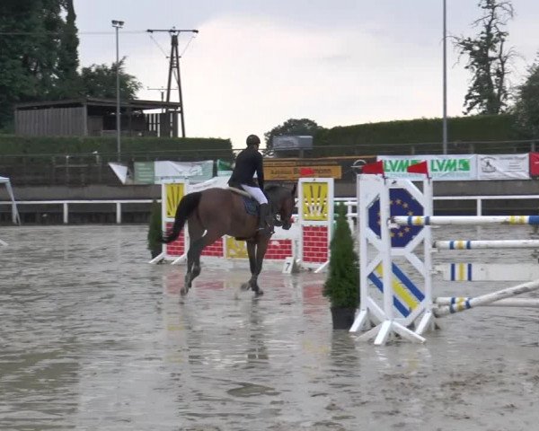 Reitturnier Melle-Ostenfelde 2015