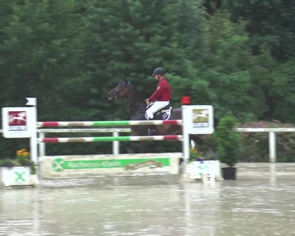 Reitturnier Melle-Ostenfelde 2015