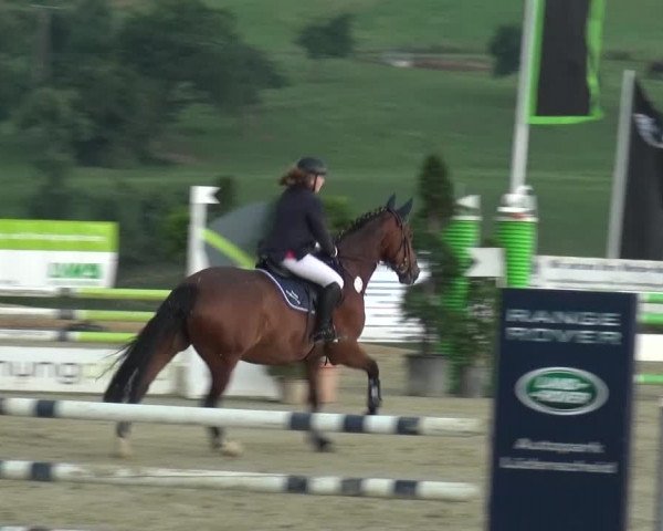 Reitturnier Lindlar-Süttenbach 2015