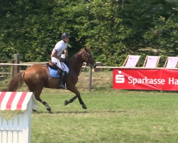 Großer Preis von Isernhagen 2015