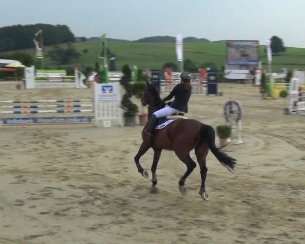 Reitturnier Lindlar-Süttenbach 2015