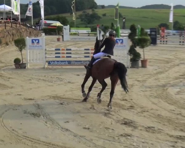Reitturnier Lindlar-Süttenbach 2015