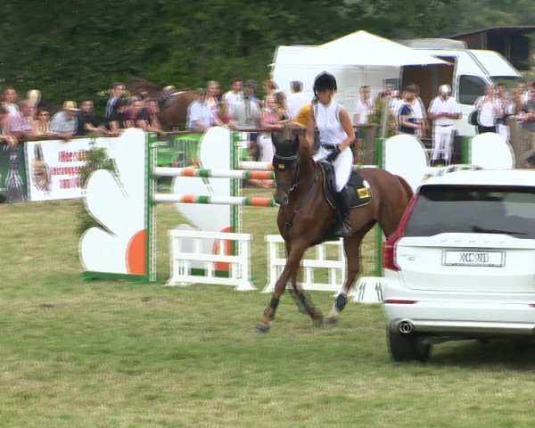 Großer Preis von Isernhagen 2015