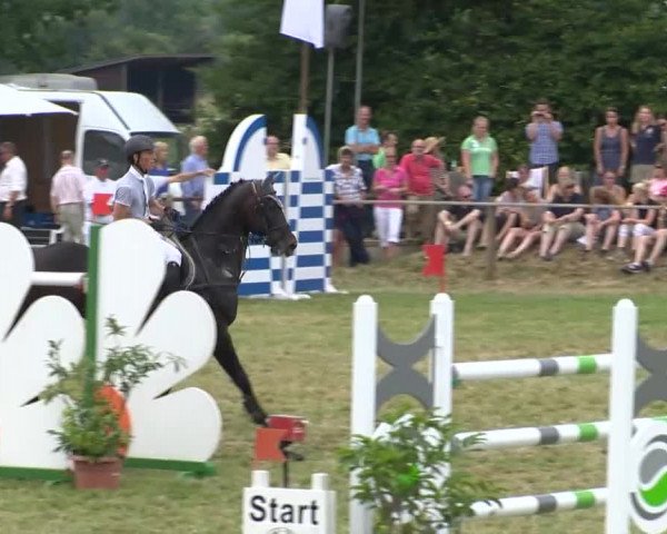 Großer Preis von Isernhagen 2015
