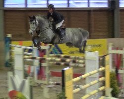 jumper Rahmannshof Bacardi (Zangersheide riding horse, 2009, from Berlin)
