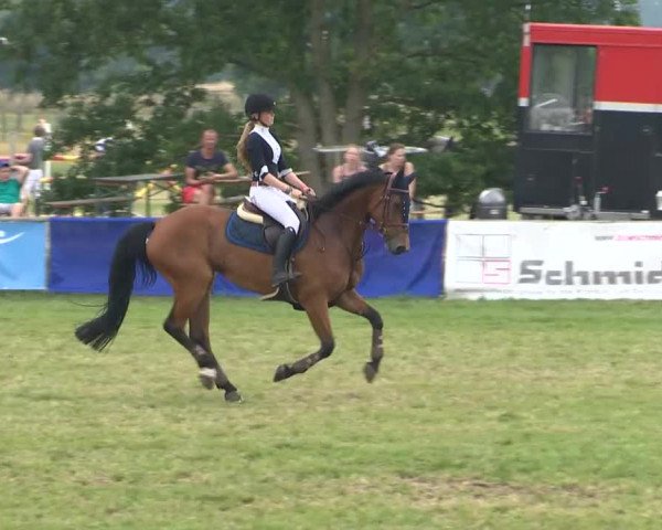 Großer Preis von Isernhagen 2015