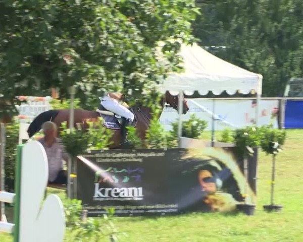 Großer Preis von Isernhagen 2015