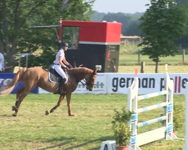 Großer Preis von Isernhagen 2015
