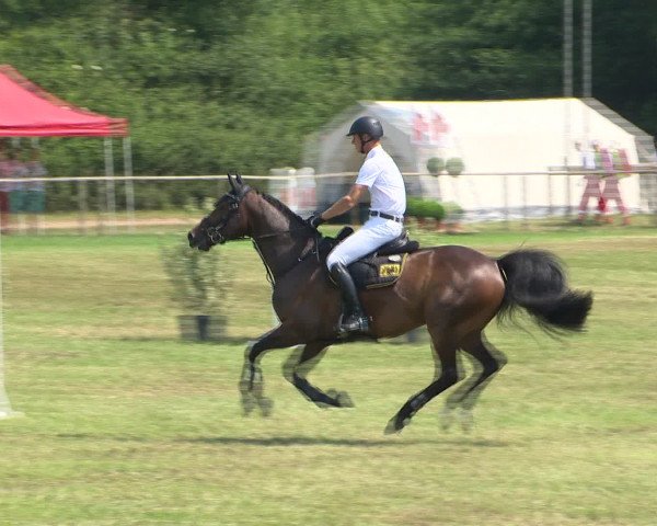 Großer Preis von Isernhagen 2015