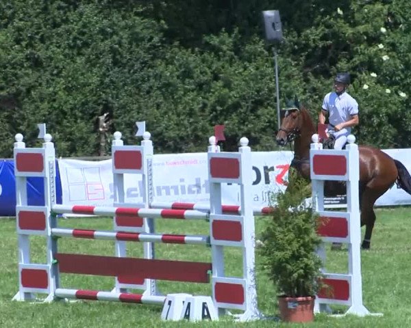 Großer Preis von Isernhagen 2015