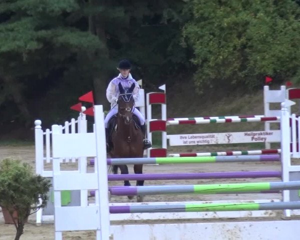 Reitturnier Viersen-Dülken 2015