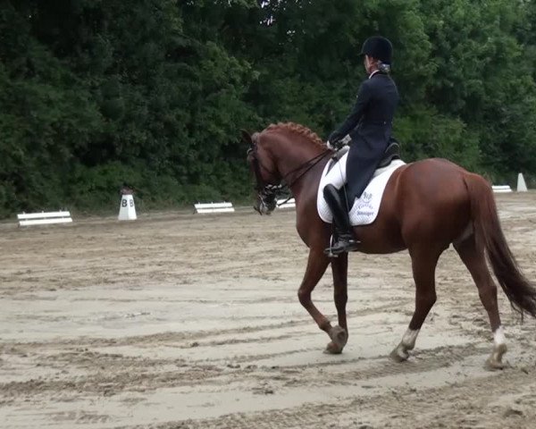 Reitturnier Viersen-Dülken 2015