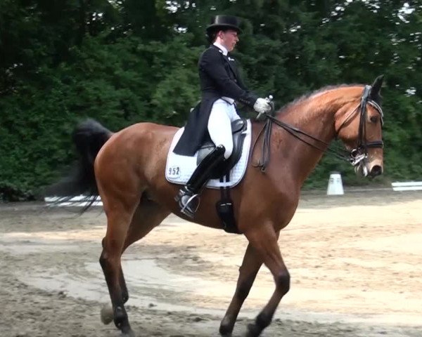 Reitturnier Viersen-Dülken 2015
