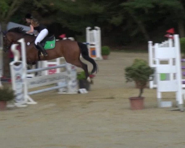 Reitturnier Viersen-Dülken 2015
