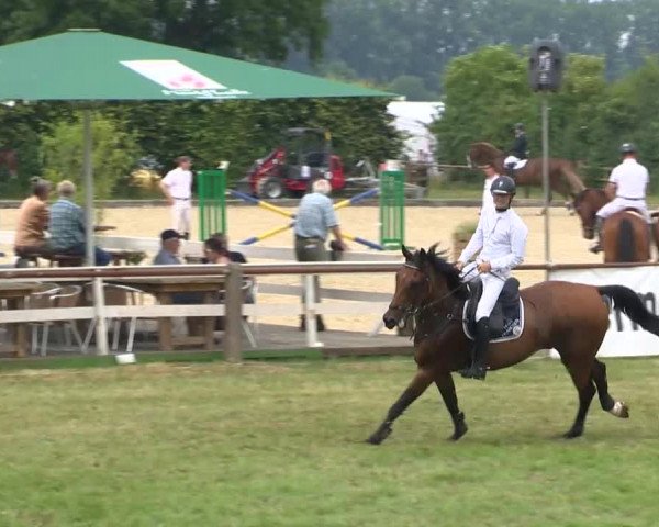 Großer Preis von Isernhagen 2015