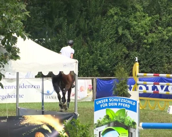 Großer Preis von Isernhagen 2015