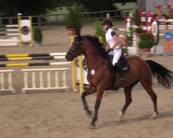 Reitturnier Kalenborn Hegehof 2015