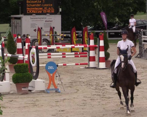 Reitturnier Kalenborn Hegehof 2015